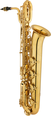 Eastman Winds - EBS650 Rue Saint Georges Professional Eb Baritone Saxophone