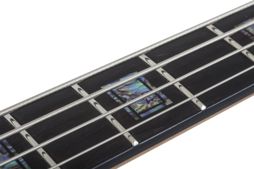 Model-T 4 Exotic Black Limba Bass Guitar - Natural Satin