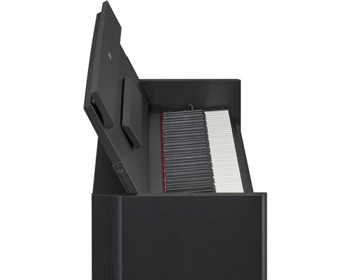 Arius YDP-S55 Compact Digital Piano with Stand - Black