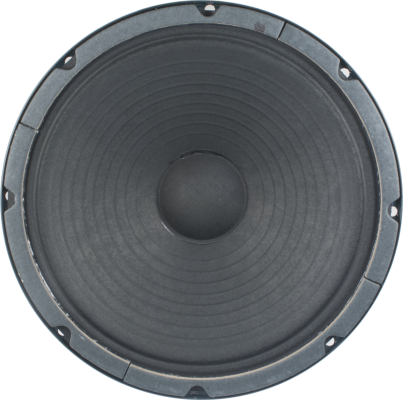 P10R-FEN Vintage Alnico Replacement 10'' 25 Watt 8-Ohm Speaker