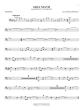 Minecraft: Music from the Video Game Series - Trombone - Book/Audio Online