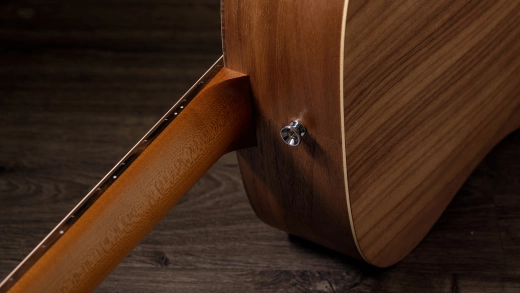 BBT-e Big Baby Taylor Walnut Top Acoustic-Electric Guitar