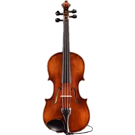 VL145+ Samuel Eastman Electro-Acoustic Violin Outfit