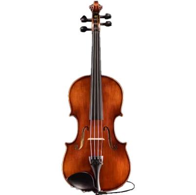 VL145+ Samuel Eastman Electro-Acoustic Violin Outfit