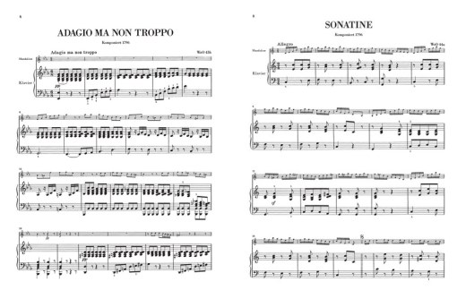Works for Mandolin and Piano - Beethoven/Raab - Mandolin/Piano - Book