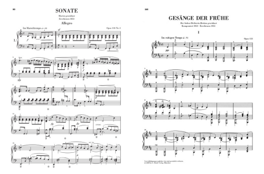 Complete Piano Works, Volume VI - Schumann /Herttrich /Seiffert /Munster - Piano - Book
