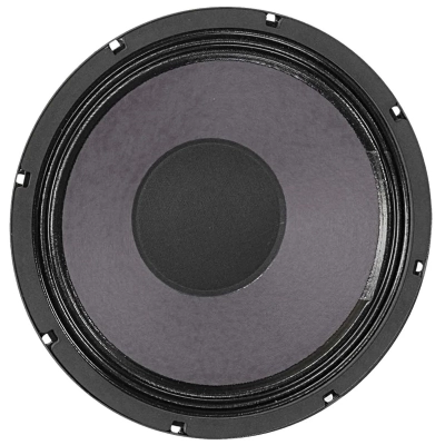 Ragin Cajun 10\'\' Guitar Speaker - 16 Ohm