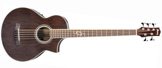 Ibanez EWB205WNE 5-String Acoustic Bass | Long & McQuade 
