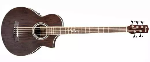 EWB205WNE 5-String Acoustic Bass