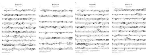 Wind Serenade in D minor op. 44 - Dvorak/Rahmer - Chamber Ensemble - Parts Set