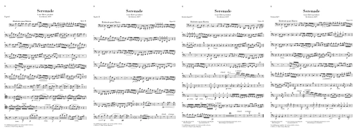 Wind Serenade in D minor op. 44 - Dvorak/Rahmer - Chamber Ensemble - Parts Set