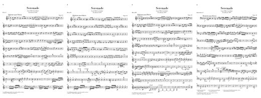 Wind Serenade in D minor op. 44 - Dvorak/Rahmer - Chamber Ensemble - Parts Set