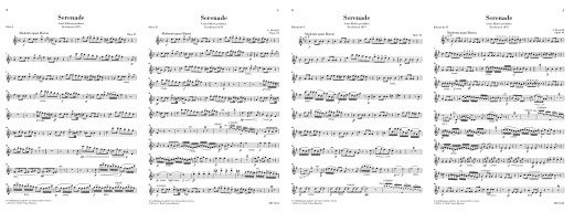 Wind Serenade in D minor op. 44 - Dvorak/Rahmer - Chamber Ensemble - Parts Set