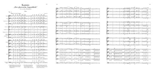 Cantatas - Beethoven/Herttrich - Study Score - Book