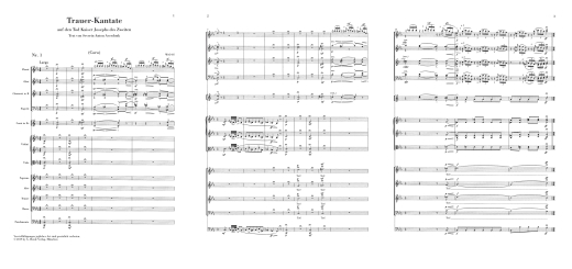 Cantatas - Beethoven/Herttrich - Study Score - Book