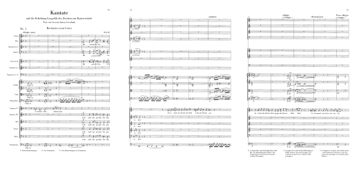 Cantatas - Beethoven/Herttrich - Study Score - Book