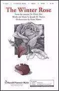 The Winter Rose