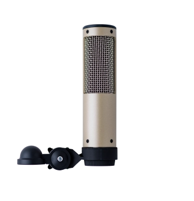 R-10 Hot Rod Ribbon Microphone