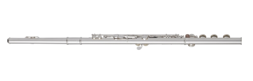 AF680-BO C# Flute with Sterling Silver Headjoint, Open Hole, Offset G, C# Trill