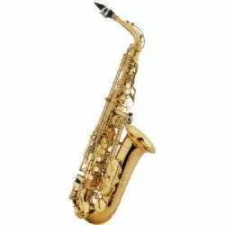 Alto Sax Outfit