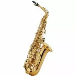 Alto Sax Outfit