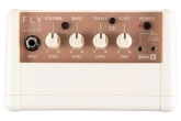 FLY 3 Acoustic Mini Amp