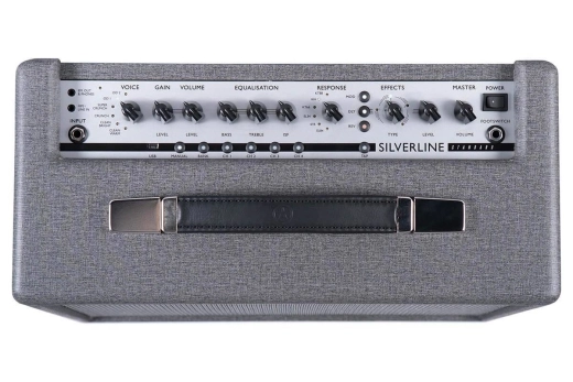 Silverline Standard 20W Combo