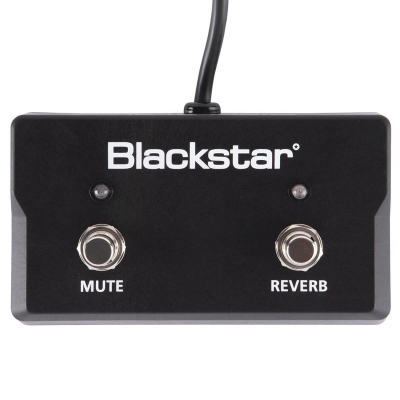 Blackstar Amplification - Sonnet FS-17 2-Button Footswitch