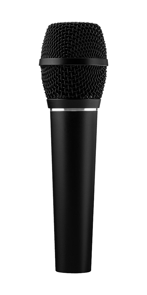 SR117 Supercardioid Condenser Live Vocal Microphone