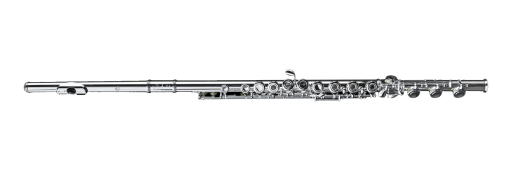 Di Zhao Flutes - DZ601BOF Flute with Sterling Silver Headjoint, Offset G, B Foot
