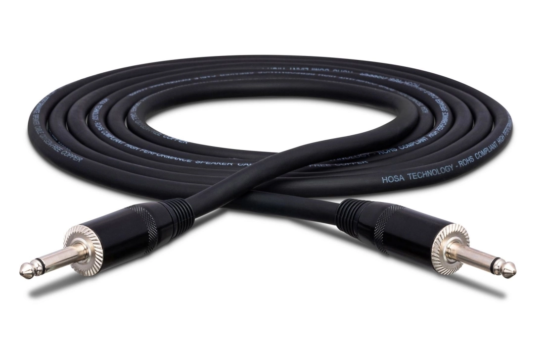 Pro Speaker Cable, REAN 1/4 in TS to Same, 10 ft