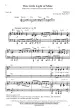 This Little Light of Mine - Traditional/Hayes - SATB