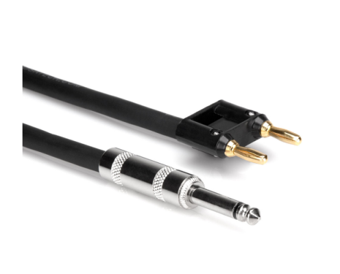 Speaker Cable, Hosa 1/4 in TS to Dual Banana, 20 ft
