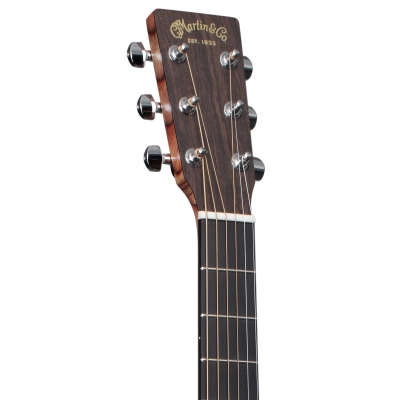 D-X1E Mahogany Dreadnought Acoustic Guitar w/Gig Bag