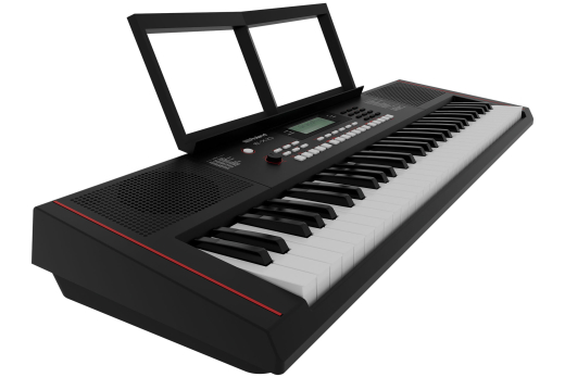 E-X10 61-Key Touch Sensitive Arranger Keyboard