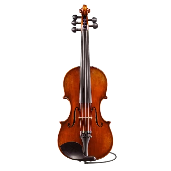 VL7015+ Rudoulf Doetsch Series+ 5-String Electric/Acoustic Violin with Bow - 4/4