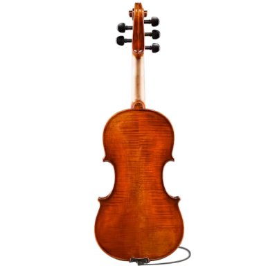 VL7015+ Rudoulf Doetsch Series+ 5-String Electric/Acoustic Violin with Bow - 4/4