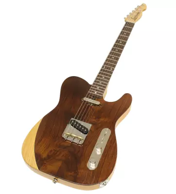 Baker-T Pro Electric Guitar - Figured Rosewood