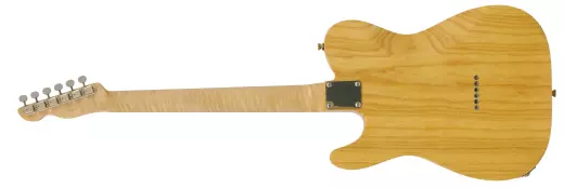 Baker-T Pro Electric Guitar - Figured Rosewood