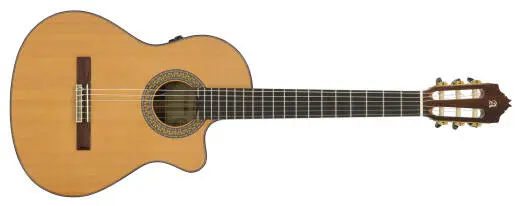 9 P CW E8 Concert Classical/Electric Guitar with Hardshell Case