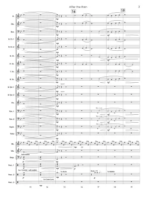 After the Rain - Neufeld - Concert Band - Gr. 1