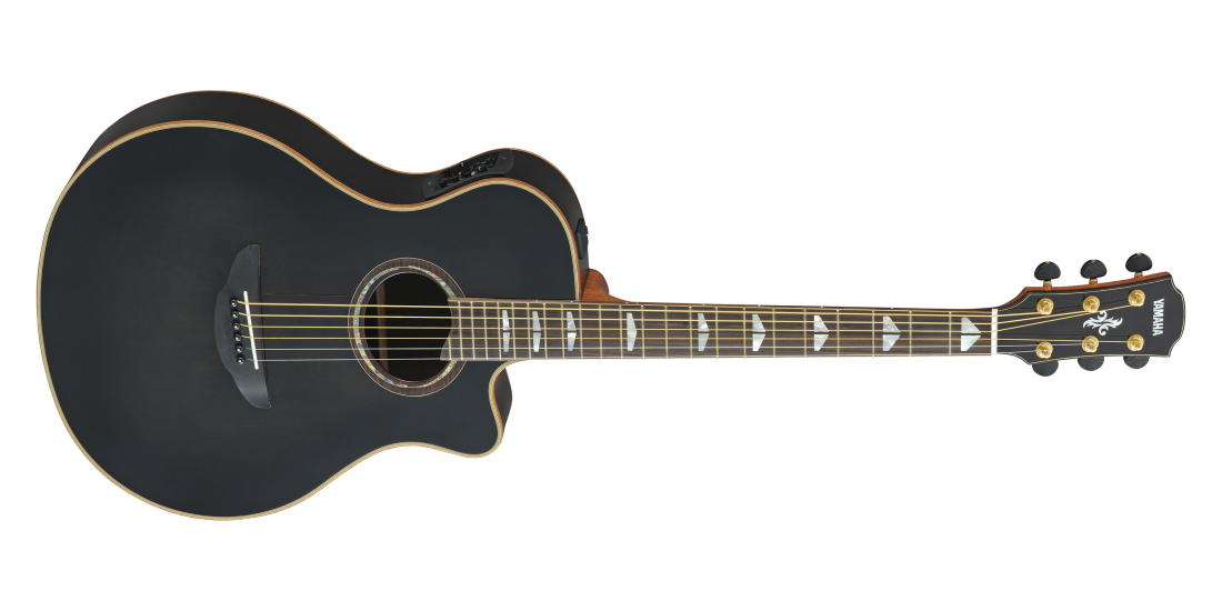 APX1200II Acoustic/Electric Guitar with Cutaway - Translucent Black