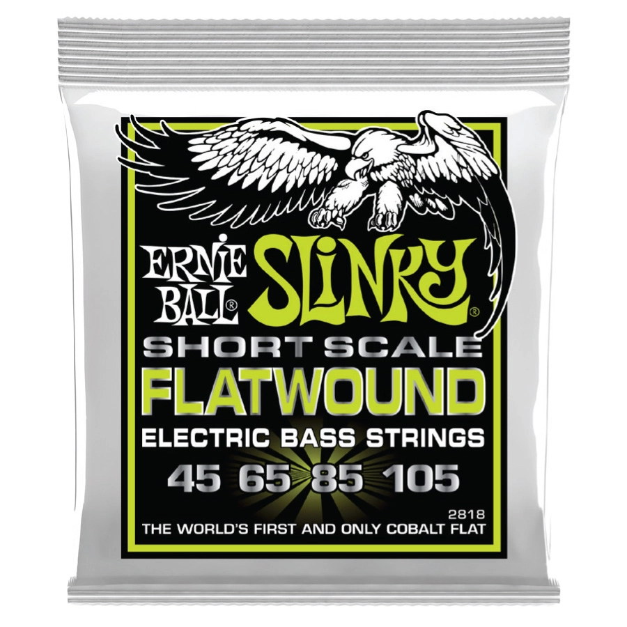 Regular Slinky Flatwound Bass String Set - Short Scale 45-105