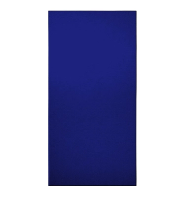 Primacoustic - 24x48x1 Bevelled EcoScapes Panel (10pk) - Cobalt