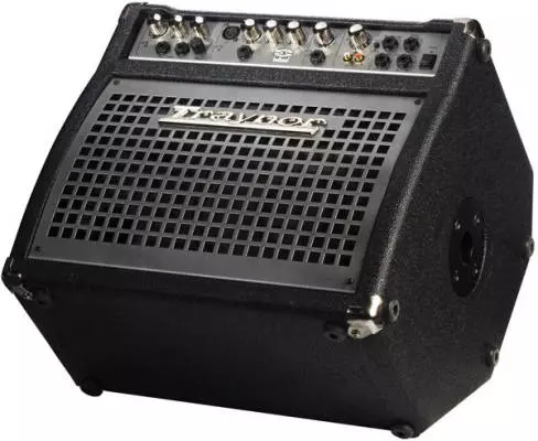Traynor - Compact 120 Watt Keyboard Amp / Monitor Combo