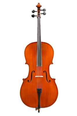Ivan Dunov Prelude VC140 Cello Outfit - 1/2