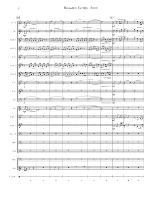 Basswood Canopy - Bergman - Concert Band - Gr. 2