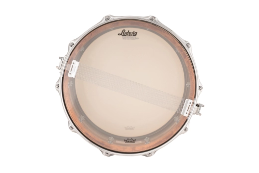 Raw Bronze Phonic 6.5x14\'\' Snare Drum with Tube Lugs