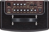AC-22LX Acoustic Amplifier