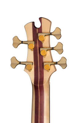 Classic V 5-String Bass with Gigbag - Satin Natural